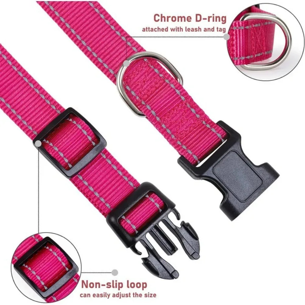 Padded Nylon Dog Collar