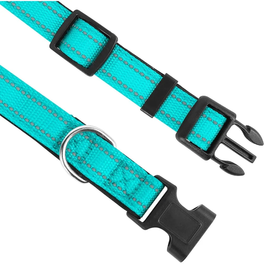 Padded Nylon Dog Collar