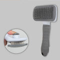 Self-Cleaning Slicker Brush for Dogs & Cats