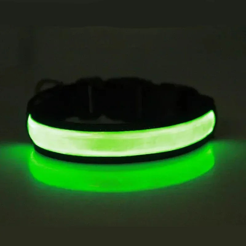 Rechargeable Light-Up Dog Collar