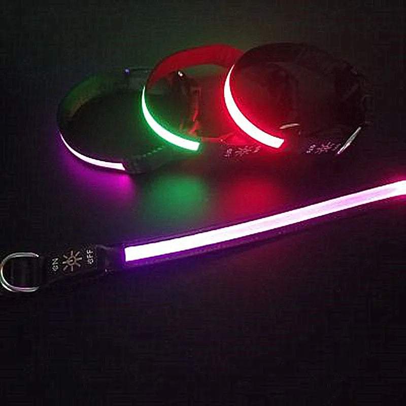 Rechargeable Light-Up Dog Collar