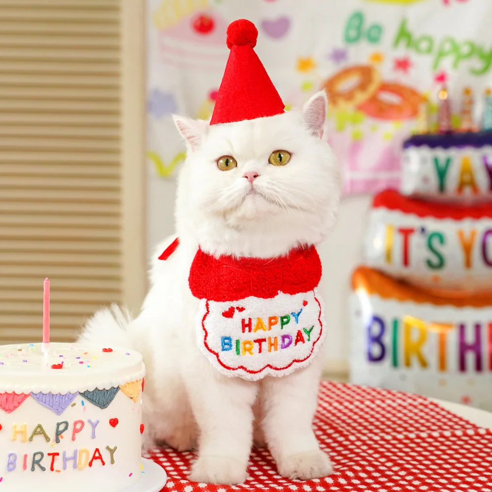 Pet Birthday Bandana & Party Hat Set