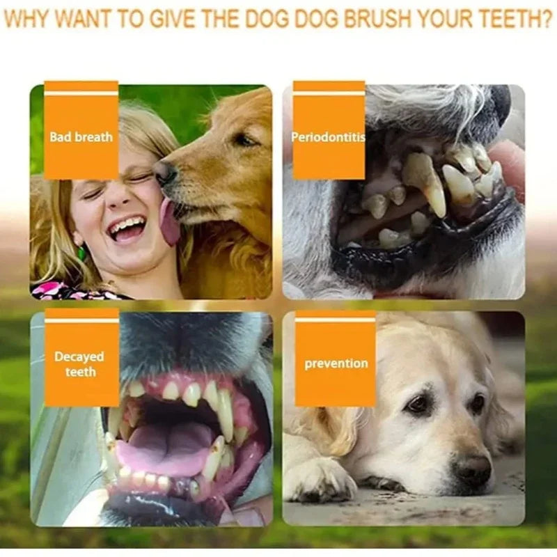 Silicone Finger Toothbrush for Dogs & Cats