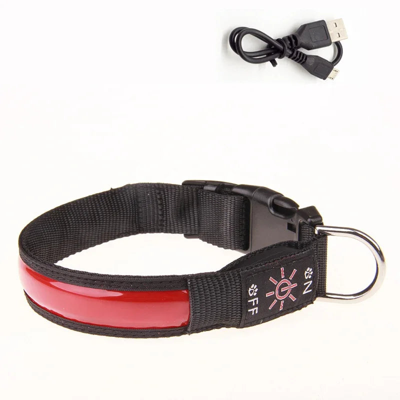 Rechargeable Light-Up Dog Collar