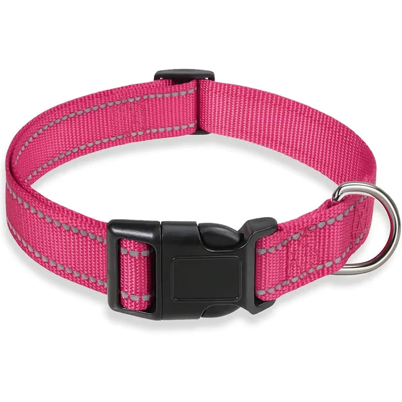 Padded Nylon Dog Collar