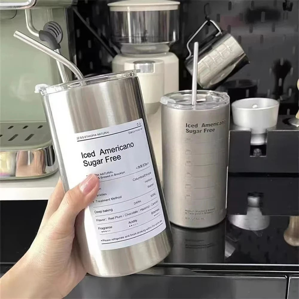 Insulated Stainless Steel Tumbler with Straw, 600 ml