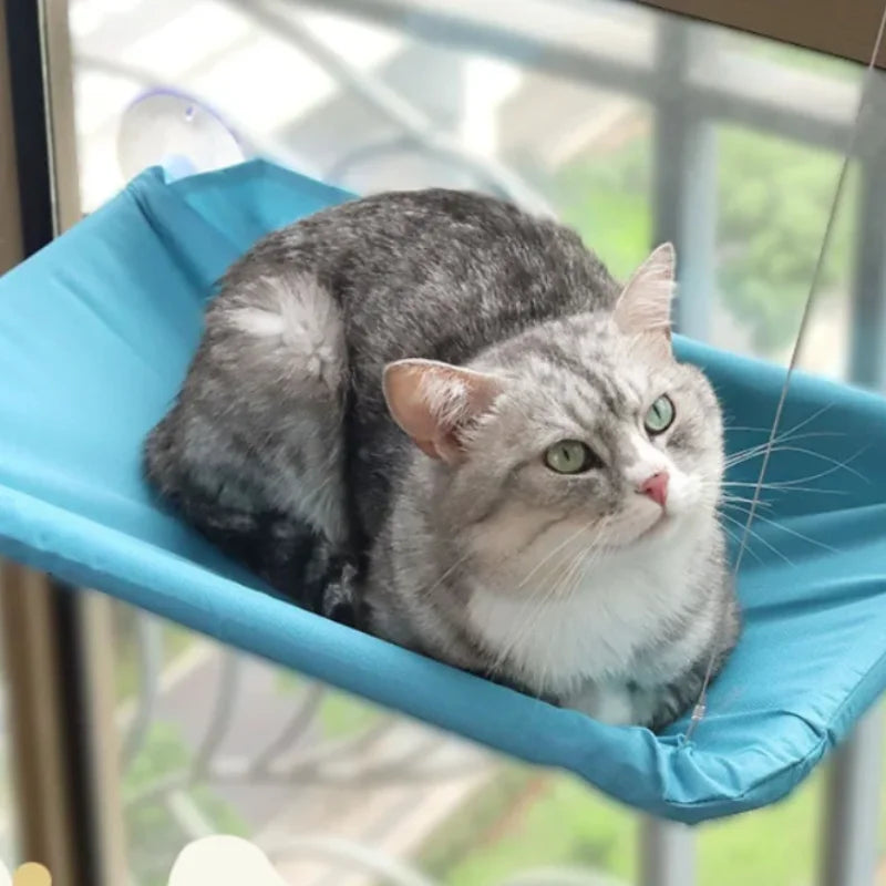 Cat Window Perch