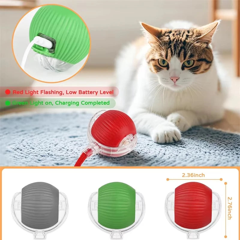 Self-Rolling Cat Ball