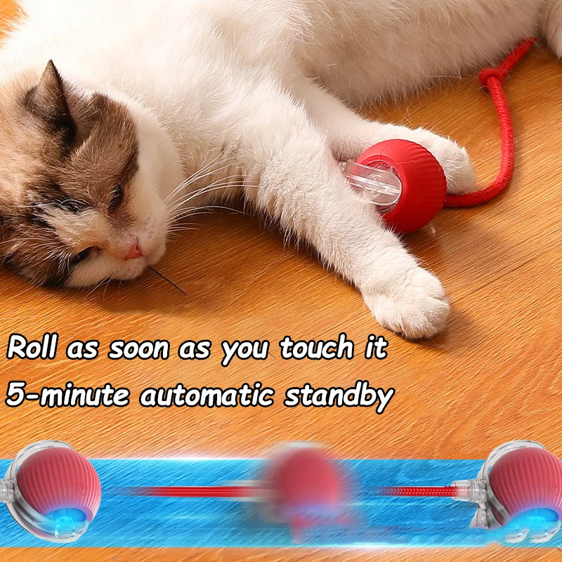 Self-Rolling Cat Ball