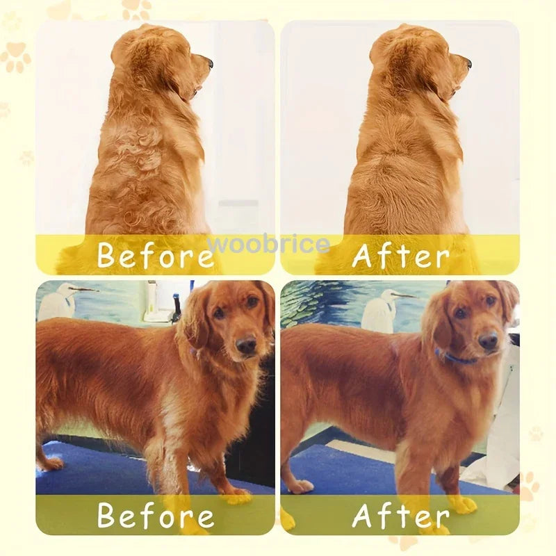 Pet Steam Grooming Brush