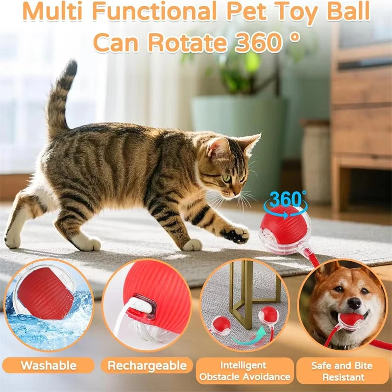 Self-Rolling Cat Ball