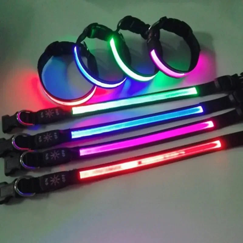 Rechargeable Light-Up Dog Collar