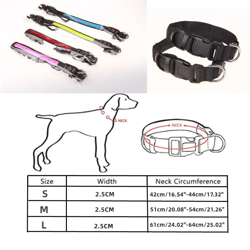 Rechargeable Light-Up Dog Collar