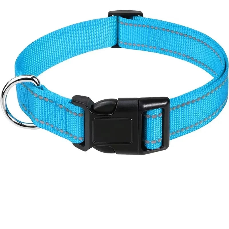 Padded Nylon Dog Collar