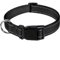 Padded Nylon Dog Collar