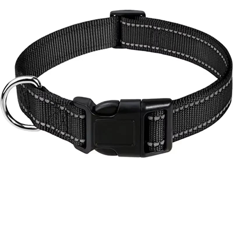 Padded Nylon Dog Collar