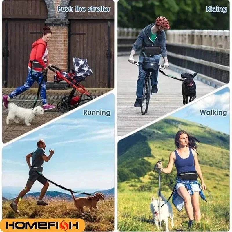 Hands-Free Waist Dog Leash