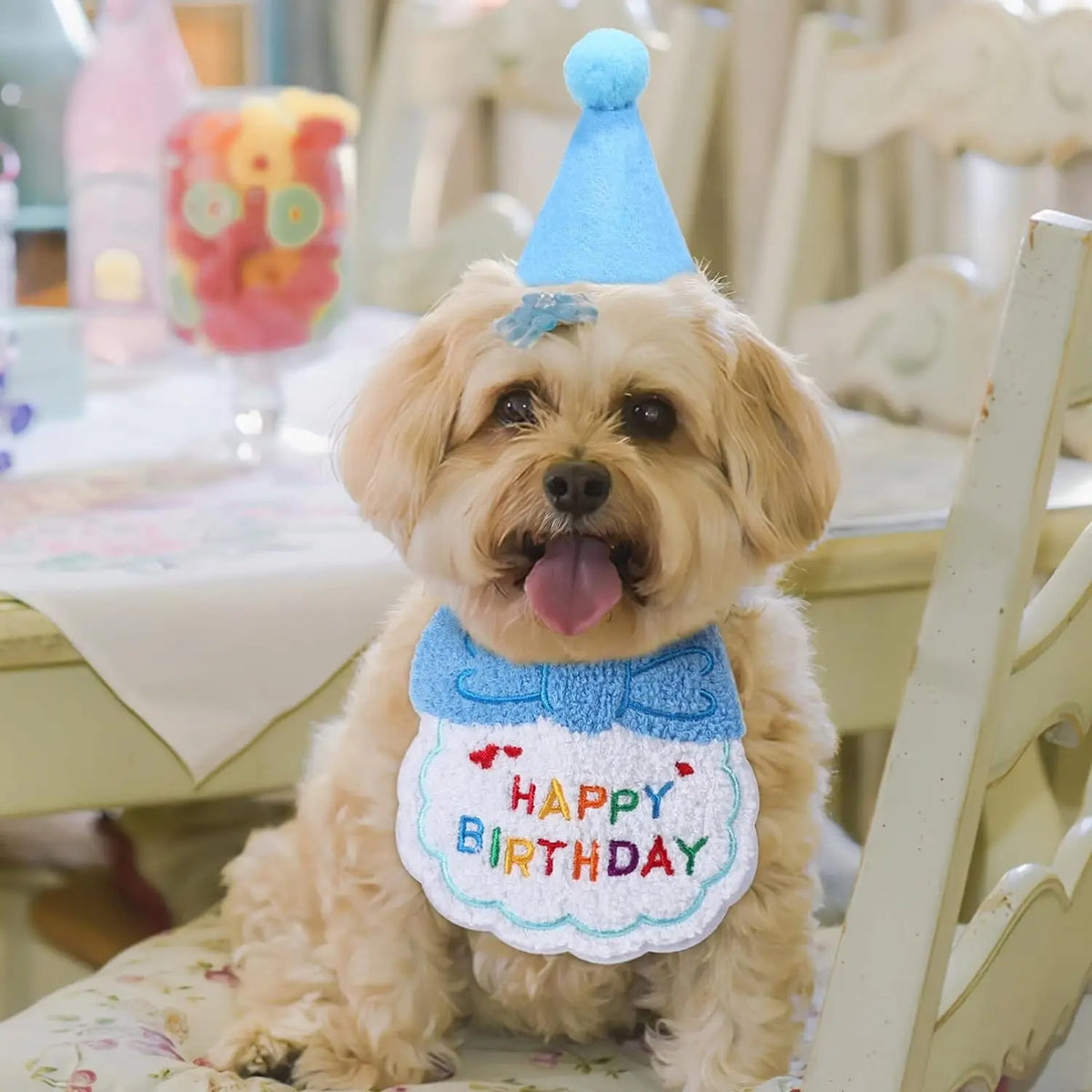 Pet Birthday Bandana & Party Hat Set