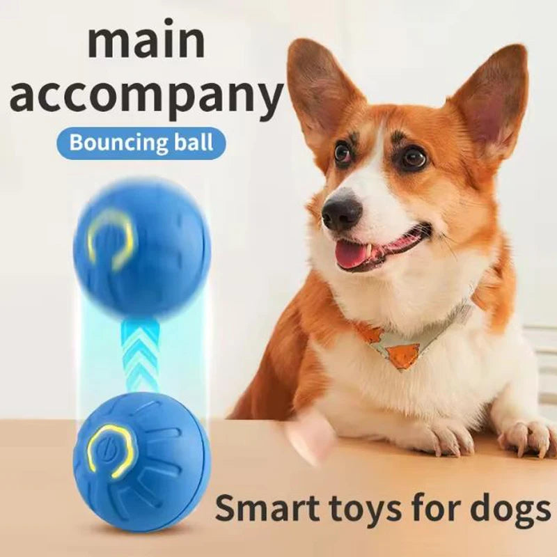 Motion-Activated Dog Ball, Rechargeable