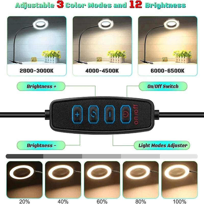 10X Magnifying Clamp Lamp with LED Light