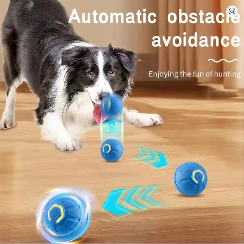Motion-Activated Dog Ball, Rechargeable