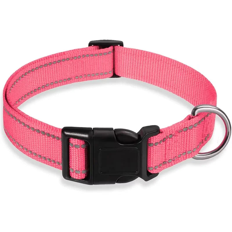 Padded Nylon Dog Collar