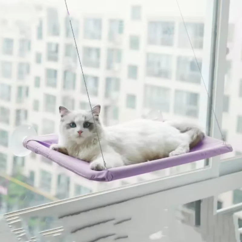 Cat Window Perch