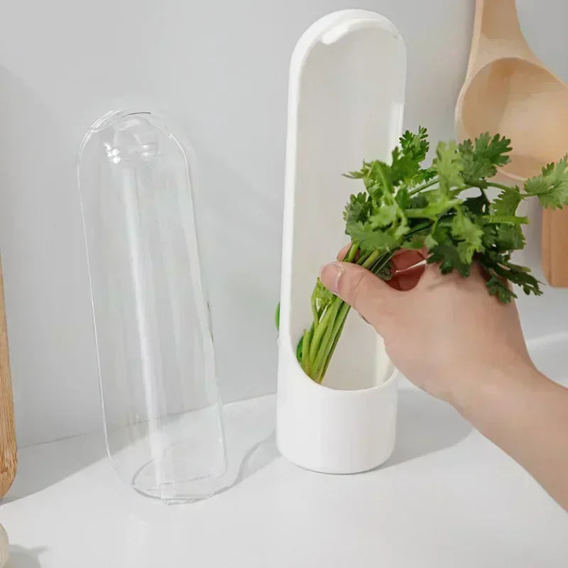 Fresh Herb Keeper