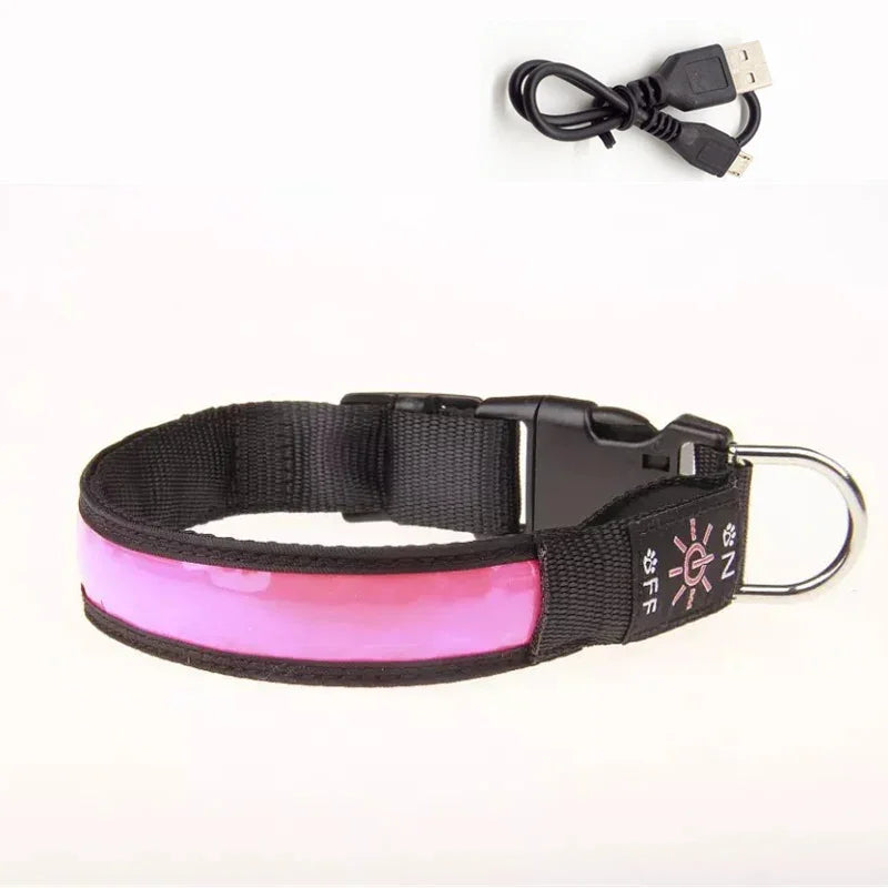 Rechargeable Light-Up Dog Collar