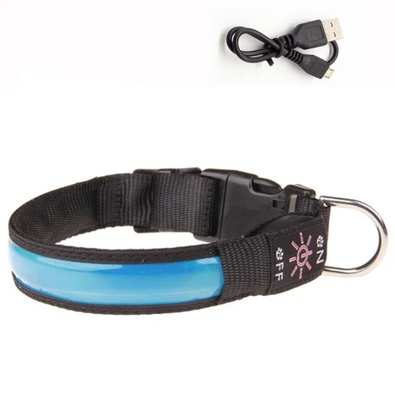 Rechargeable Light-Up Dog Collar