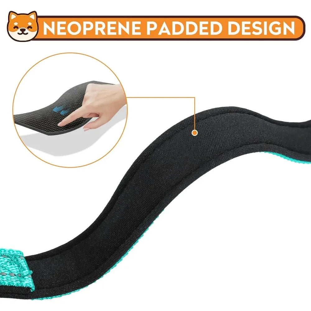 Padded Nylon Dog Collar