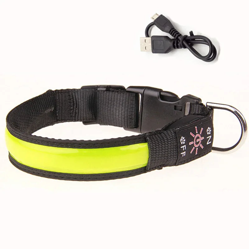 Rechargeable Light-Up Dog Collar