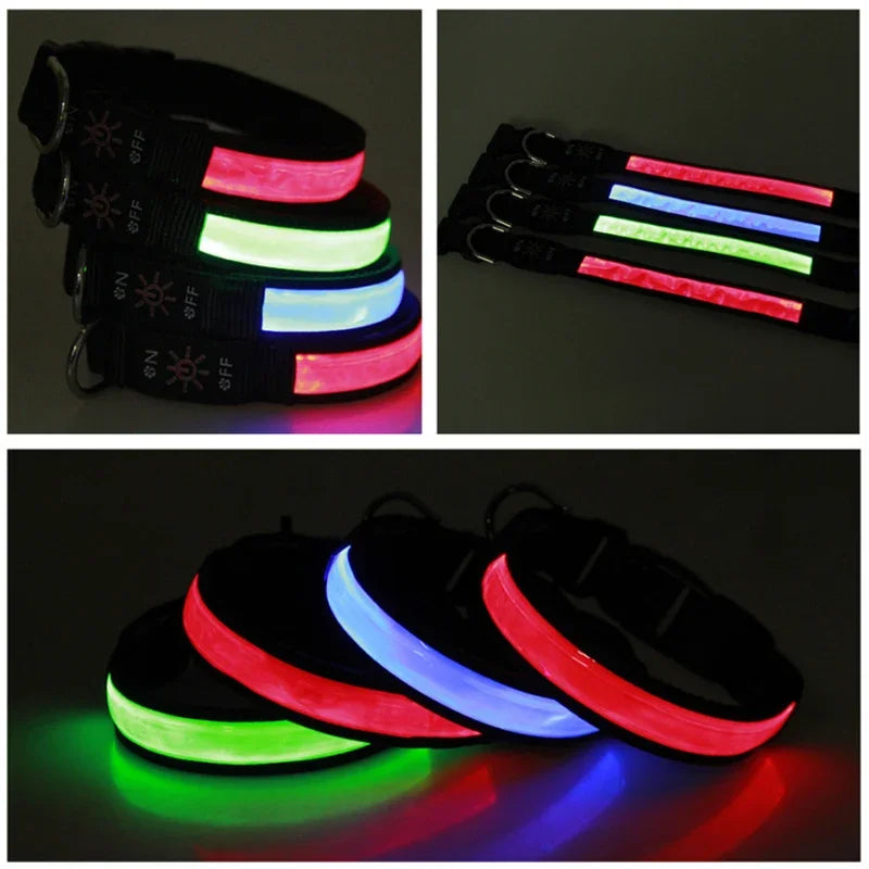 Rechargeable Light-Up Dog Collar