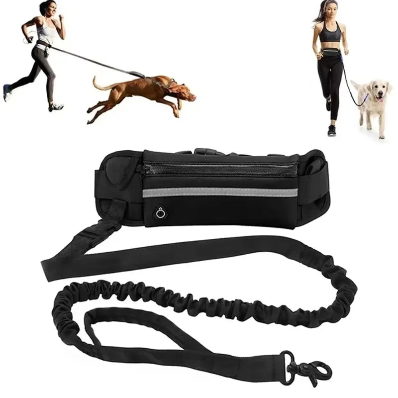 Hands-Free Waist Dog Leash