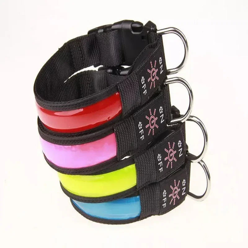 Rechargeable Light-Up Dog Collar