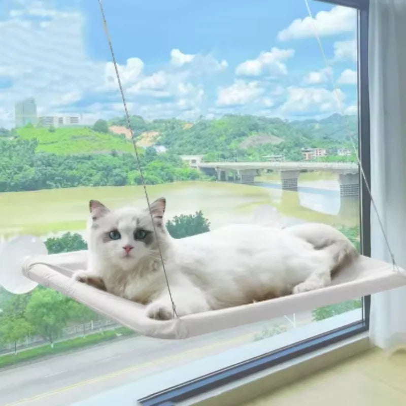Cat Window Perch