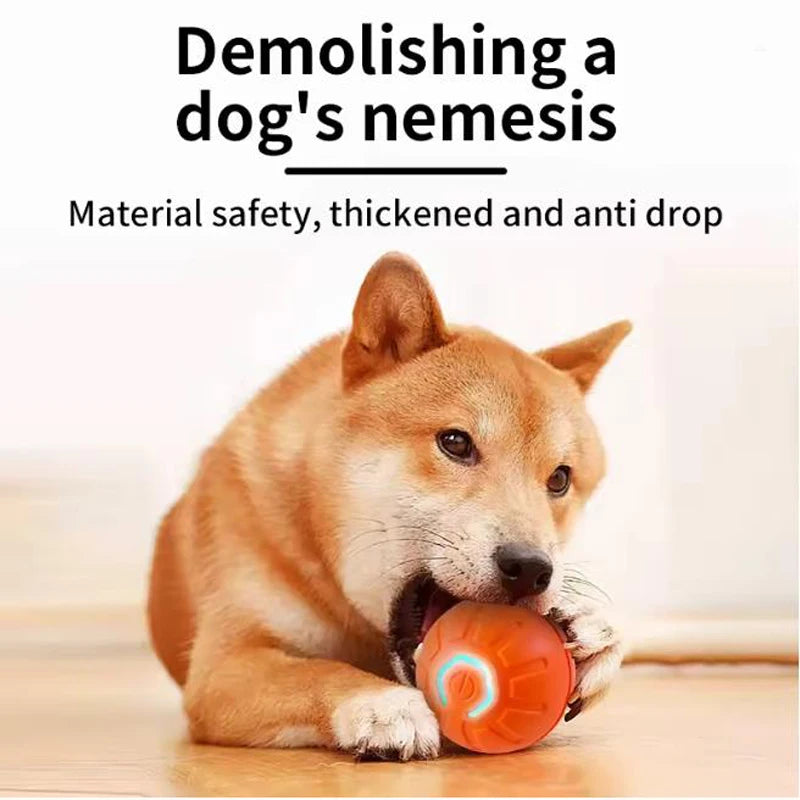 Motion-Activated Dog Ball, Rechargeable