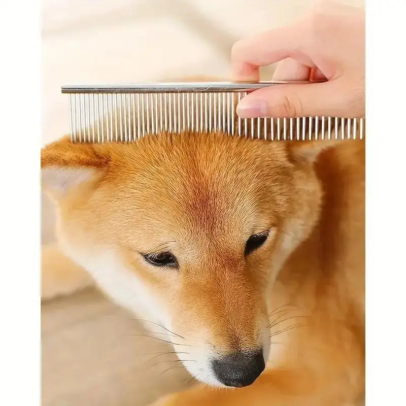 4-Piece Pet Grooming Scissors with Round Safety Tips