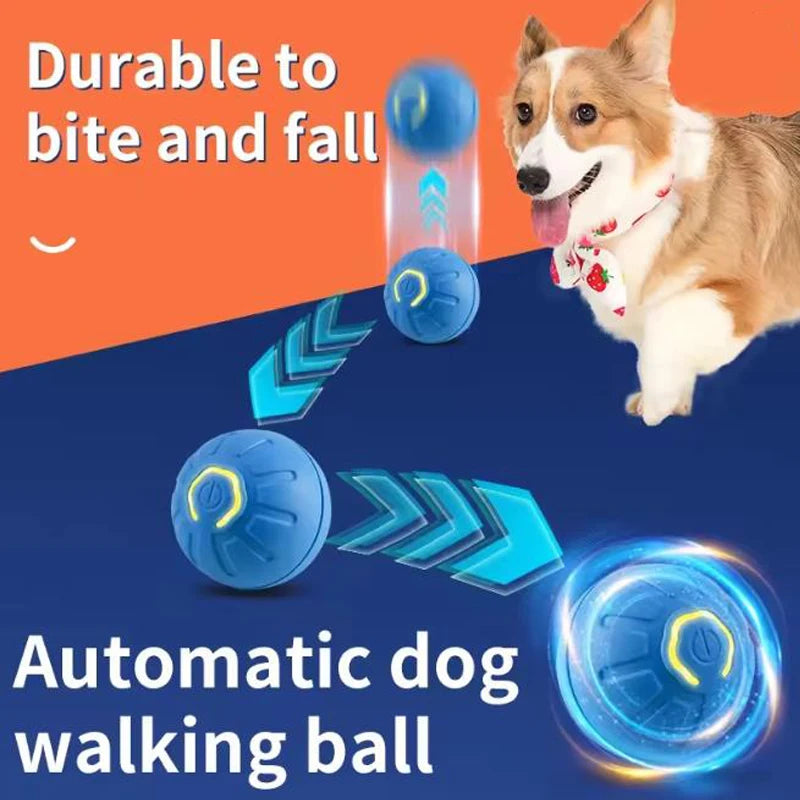 Motion-Activated Dog Ball, Rechargeable