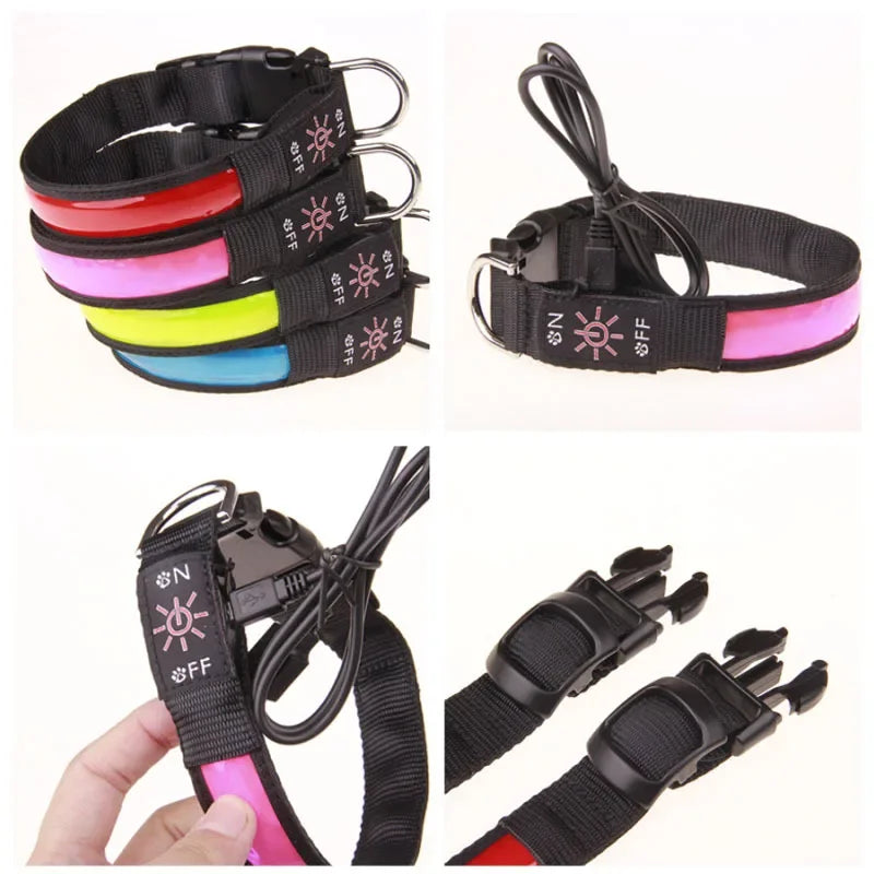 Rechargeable Light-Up Dog Collar