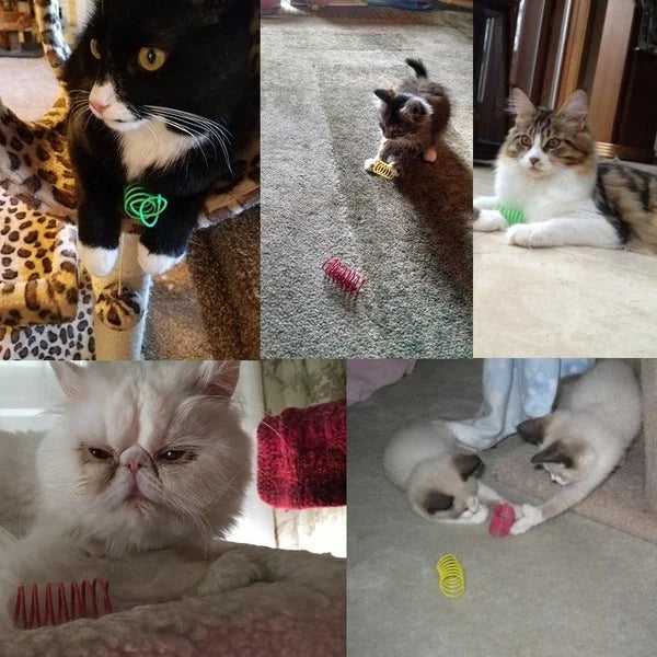 Colourful Cat Spring Toys