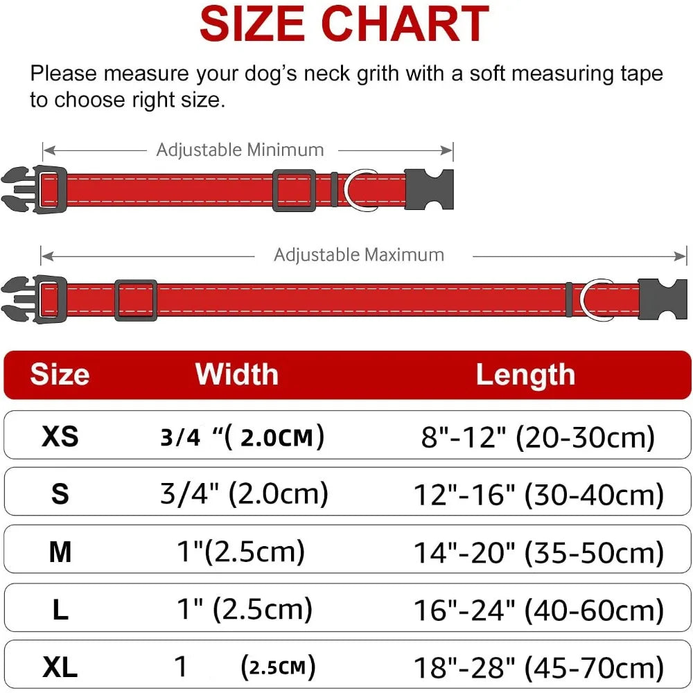 Padded Nylon Dog Collar
