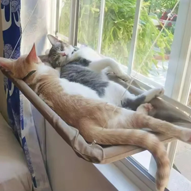 Cat Window Perch